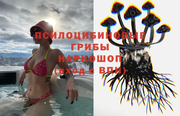 дмт Алексеевка