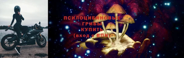 дмт Алексеевка
