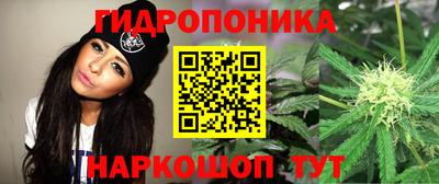 прущая мука Заволжье