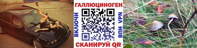 цены Мирный Псилоцибиновые грибы GOLDEN TEACHER